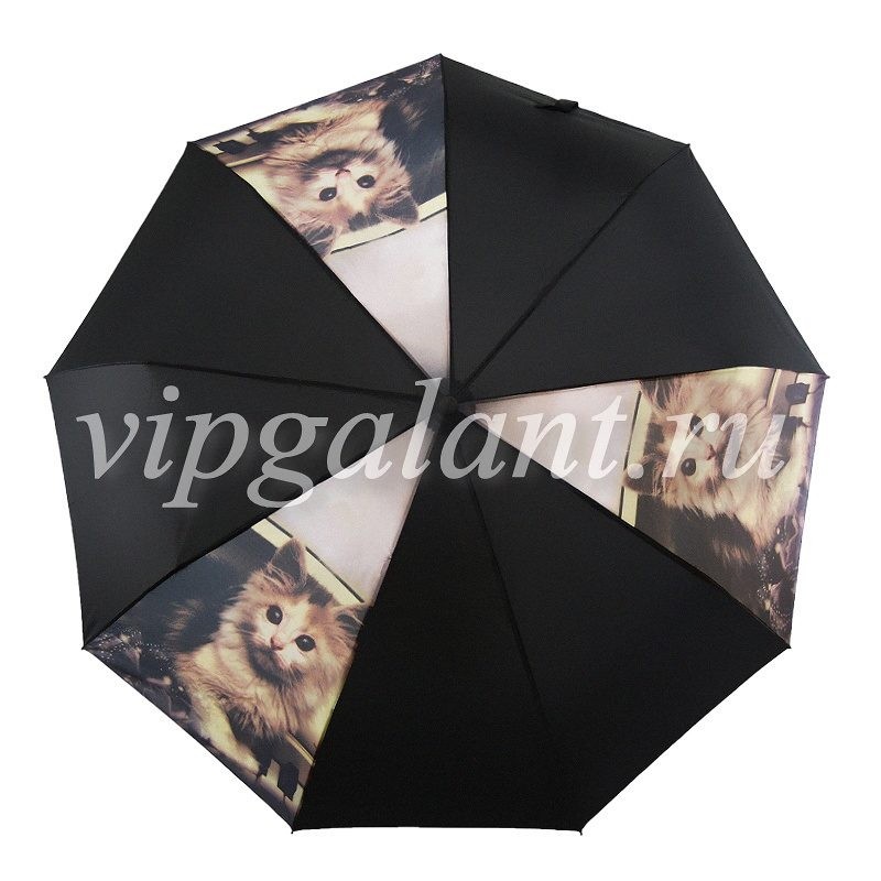 Зонт женский 118 Diniya 3 сл автомат кошки полиэстер 1