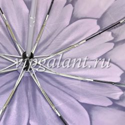 Pasotti Зонт женский складной Mini Viola 6