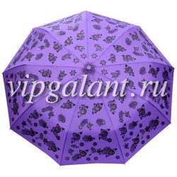 Зонт женский 9840 Pasio 3 слож автомат пондж 31