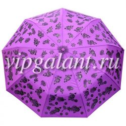 Зонт женский 9840 Pasio 3 слож автомат пондж 33