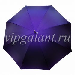 Pasotti 5A672/2 зонт женский трость Artista Viola P16 1