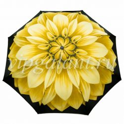 Pasotti Зонт женский складной Mini Giallo 1