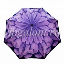 Pasotti Зонт женский складной Mini Viola 1