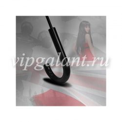 Зонт женский трость 42800 RAINDROPS Фото-принт через клин 3