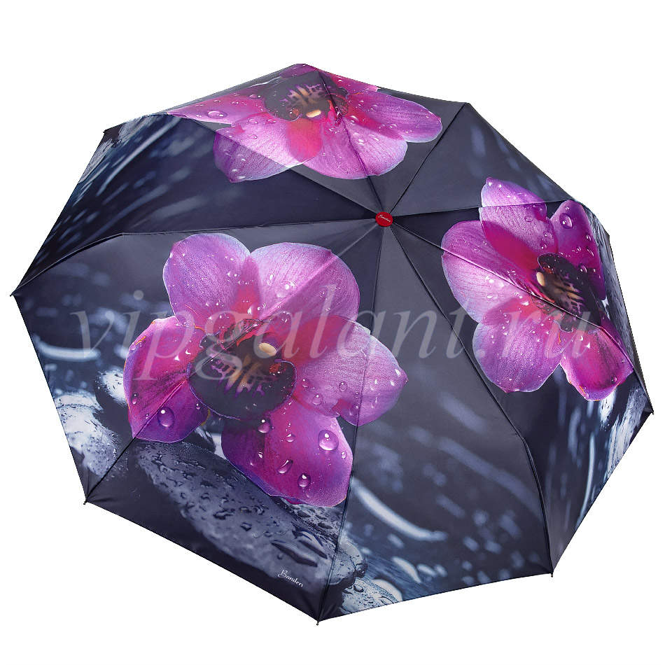 Зонт женский складной Banders 378 Цветы