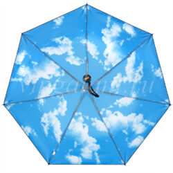 Зонт женский складной Pasio 113 фото 7 облегченный
