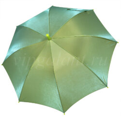 Детский зонт хамелеон Universal UN345 зеленый