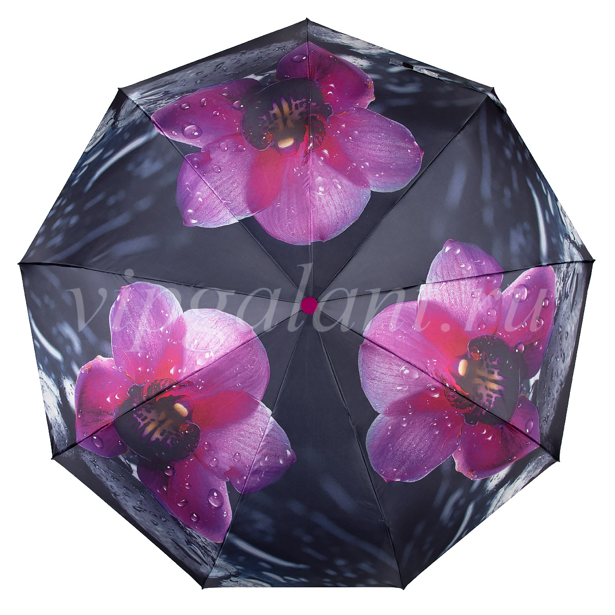 Зонтик для женщин Yoana 102 фото 1