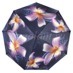 Зонтик для женщин Yoana 102 фото 3