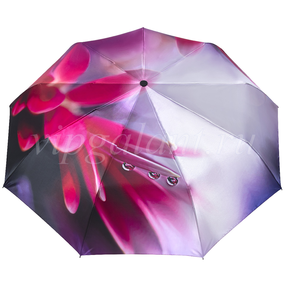 Зонт складной Макро цветы