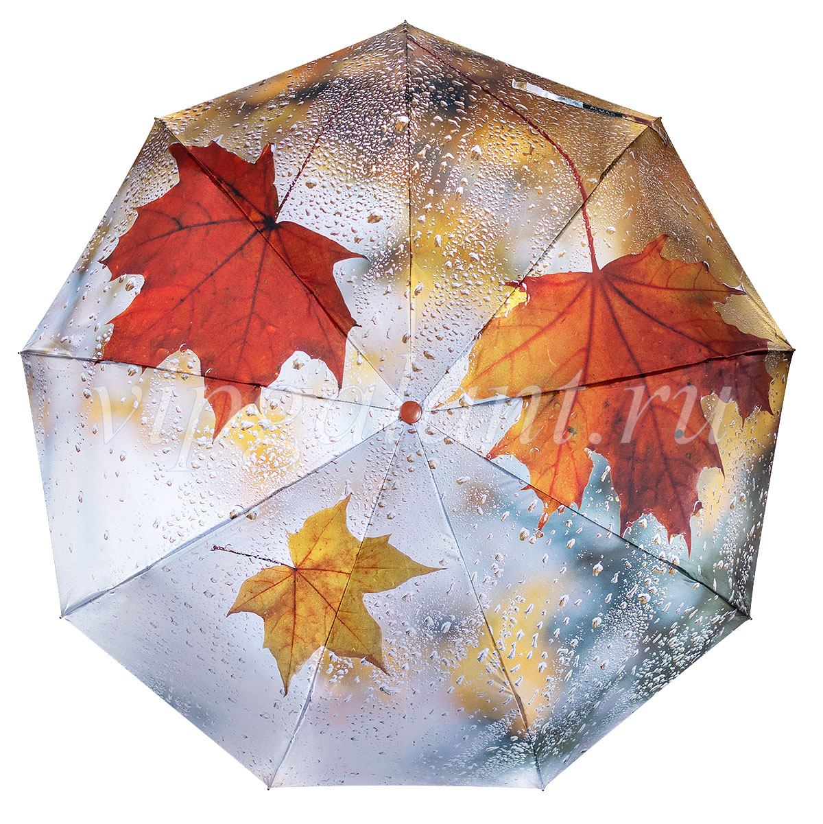 Зонт от дождя Almas 2094