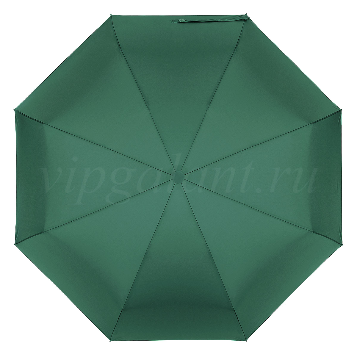 Зонт зеленый Caplier 6209-4