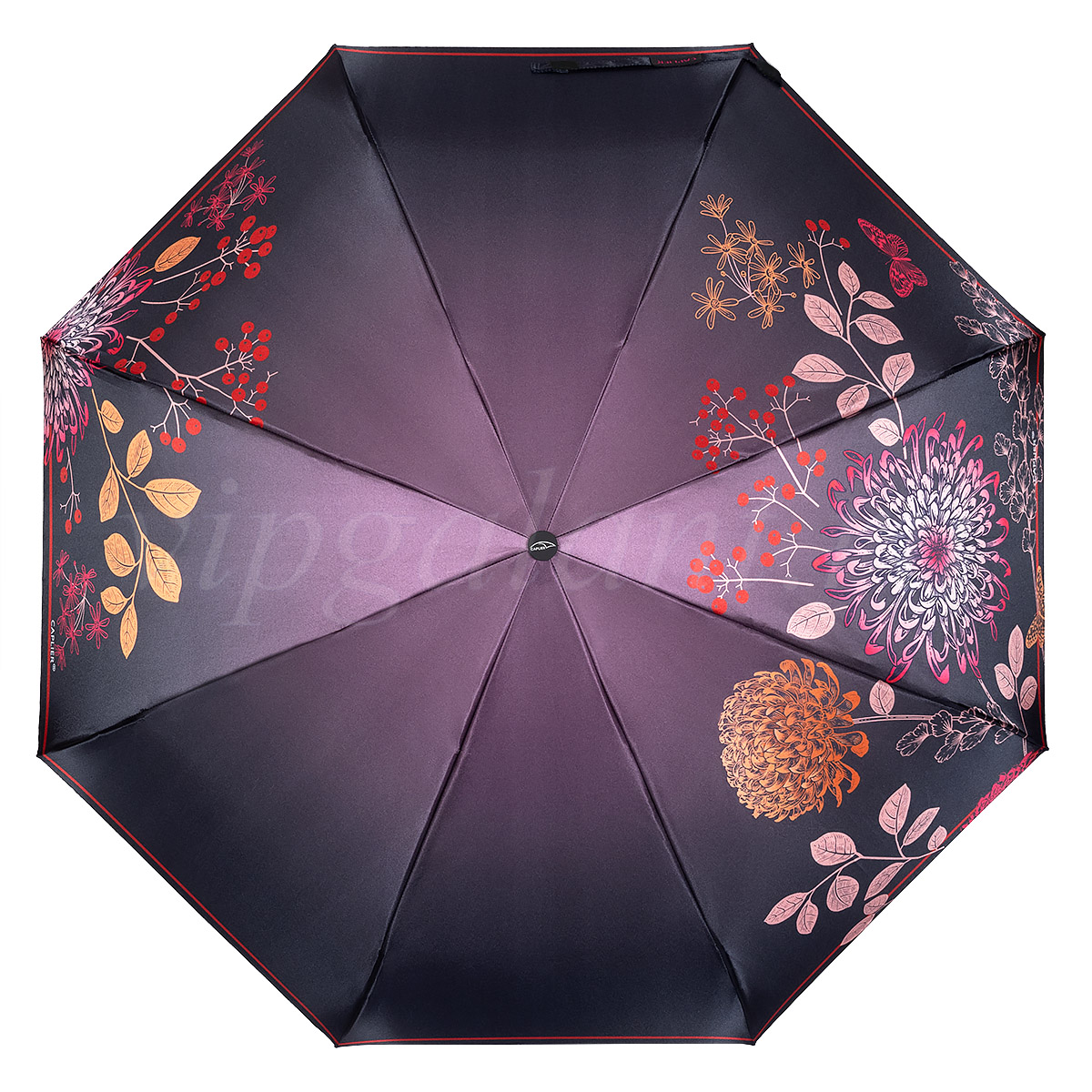 Зонт от дождя Caplier 3854-1 с цветами автоматический фото 1 Зонт от дождя Caplier 3854-1 с цветами фото 1