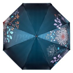 Зонт женский от дождя Caplier 3854-1 зеленый фото 1 Зонт женский Caplier 3854-1 зеленый фото 1